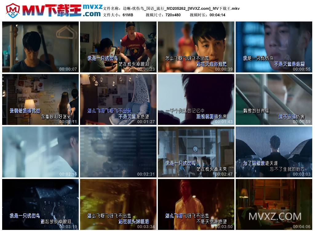 边晰-忧伤鸟_国语_流行_MD205262